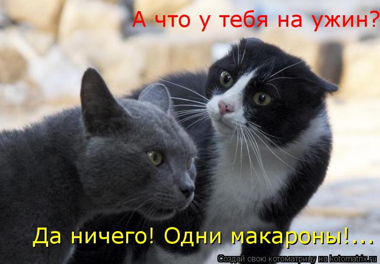 А что у тебя на ужин? Да ничего! Одни макароны!...... Котоматрица: А что у тебя на ужин? Да ничего! Одни макароны!...