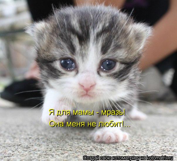 Я для мамы - мразь! Она меня не любит!...... Котоматрица: Я для мамы - мразь! Она меня не любит!...