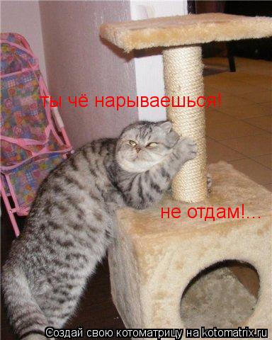 ты чё нарываешься! не отдам!...... Котоматрица: ты чё нарываешься! не отдам!...