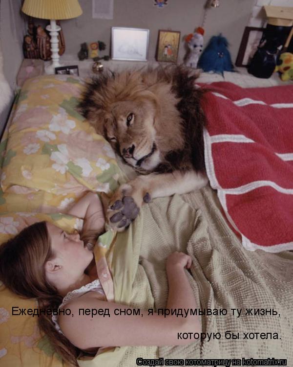которую бы хотела. Ежедневно, перед сном, я придумываю ту жизнь,... Котоматрица: которую бы хотела. Ежедневно, перед сном, я придумываю ту жизнь,