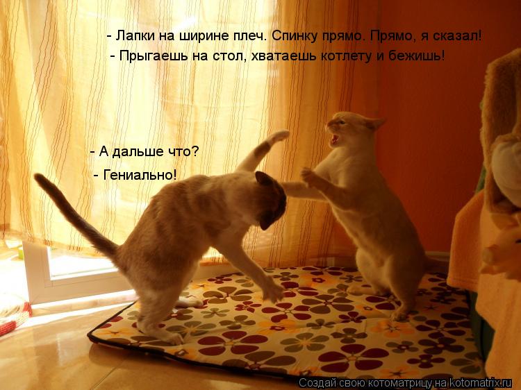 - Лапки на ширине плеч. Спинку прямо. Прямо, я сказал! - А дальше что? - Прыгаешь на стол, хватаешь... Котоматрица: - Лапки на ширине плеч. Спинку прямо. Прямо, я сказал! - А дальше что? - Прыгаешь на стол, хватаешь котлету и бежишь! - Гениально!