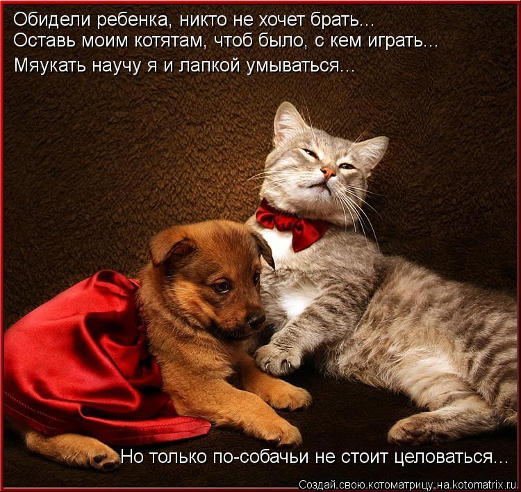 Обидели ребенка, никто не хочет брать... Оставь моим котятам, чтоб было, с кем играть... Мяукать науч... Котоматрица: Обидели ребенка, никто не хочет брать... Оставь моим котятам, чтоб было, с кем играть... Мяукать научу я и лапкой умываться... Но только по-собач