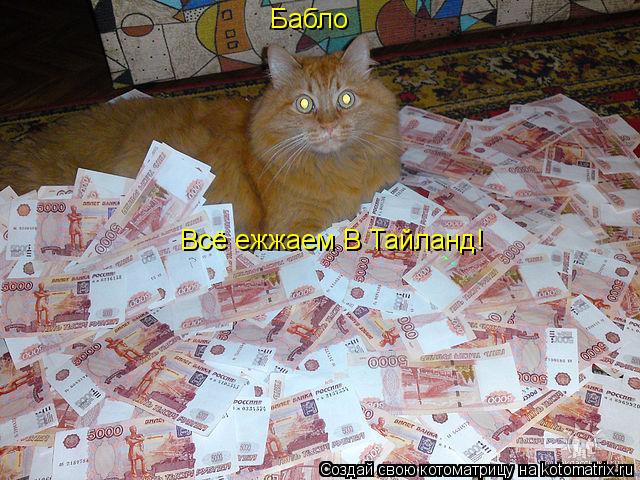 Бабло Всё ежжаем В Тайланд!... Котоматрица: Бабло Всё ежжаем В Тайланд!