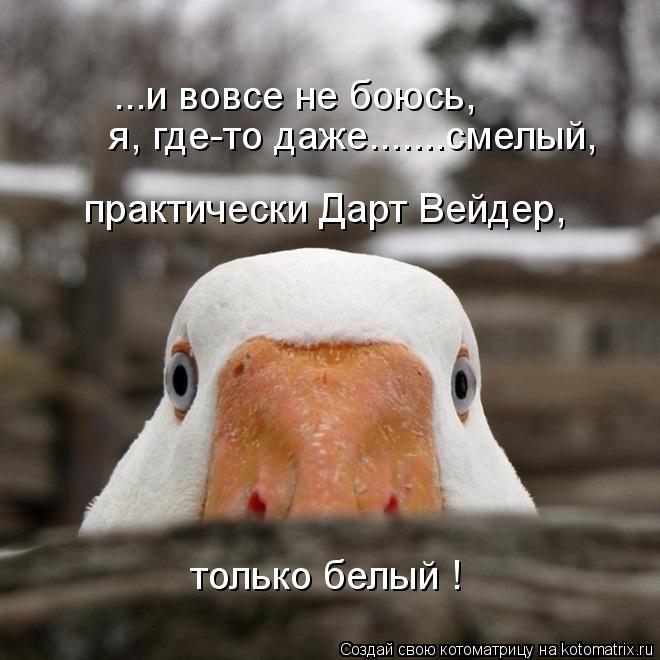 ...и вовсе не боюсь, я, где-то даже.......смелый, практически Дарт Вейдер, только белый !... Котоматрица: ...и вовсе не боюсь, я, где-то даже.......смелый, практически Дарт Вейдер, только белый !