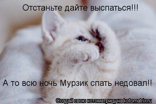 Отстаньте дайте выспаться!!! А то всю ночь Мурзик спать недовал!!... Котоматрица: Отстаньте дайте выспаться!!! А то всю ночь Мурзик спать недовал!!