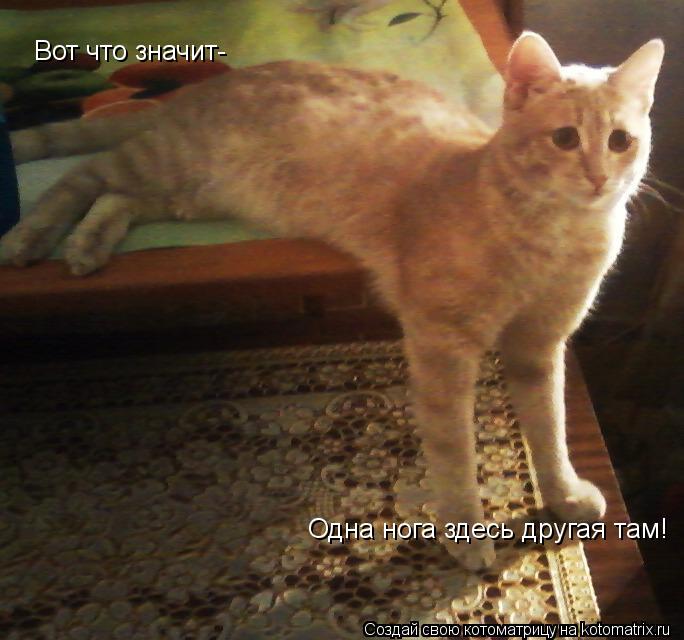 Вот что значит- Одна нога здесь другая там!... Котоматрица: Вот что значит- Одна нога здесь другая там!