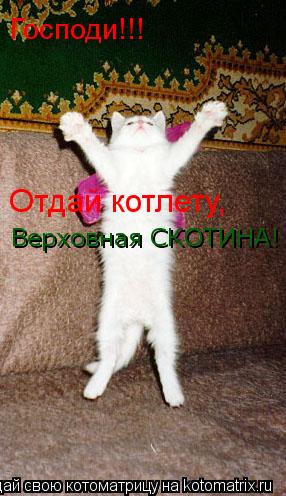 Господи!!! Отдай котлету, Верховная СКОТИНА!... Котоматрица: Господи!!! Отдай котлету, Верховная СКОТИНА!
