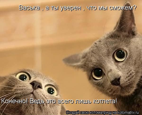 Васька , а ты уверен , что мы сможем? Конечно! Ведь это всего лишь котлета!... Котоматрица: Васька , а ты уверен , что мы сможем? Конечно! Ведь это всего лишь котлета!