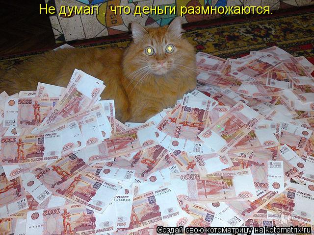 Не думал , что деньги размножаются.... Котоматрица: Не думал , что деньги размножаются.