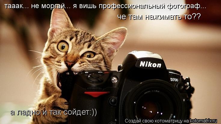 тааак... не моргай... я вишь профессиональный фотограф... че там нажимать то?? а ладно и так сойдет:... Котоматрица: тааак... не моргай... я вишь профессиональный фотограф... че там нажимать то?? а ладно и так сойдет:))