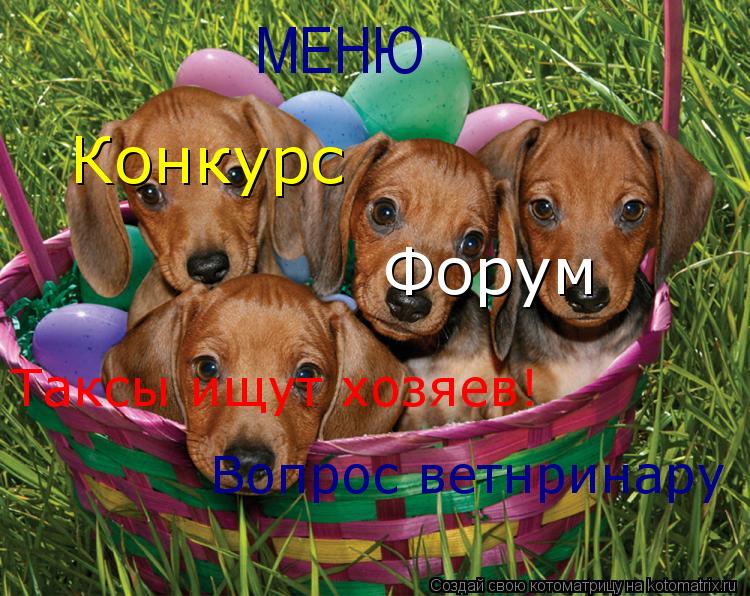 МЕНЮ Таксы ищут хозяев! Вопрос ветнринару Форум Конкурс... Котоматрица: МЕНЮ Таксы ищут хозяев! Вопрос ветнринару Форум Конкурс
