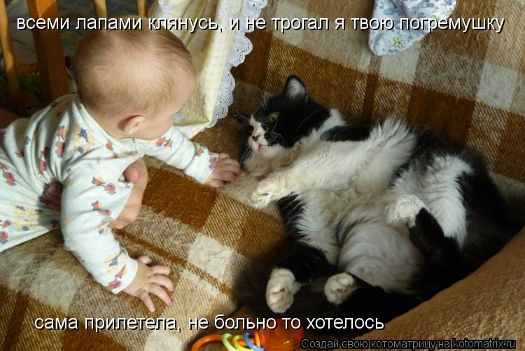 всеми лапами клянусь, и не трогал я твою погремушку сама прилетела, не больно то хотелось... Котоматрица: всеми лапами клянусь, и не трогал я твою погремушку сама прилетела, не больно то хотелось