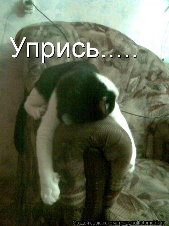 Упрись........ Котоматрица: Упрись.....