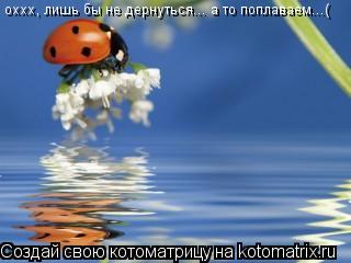 оххх, лишь бы не дернуться... а то поплаваем...(... Котоматрица: оххх, лишь бы не дернуться... а то поплаваем...(