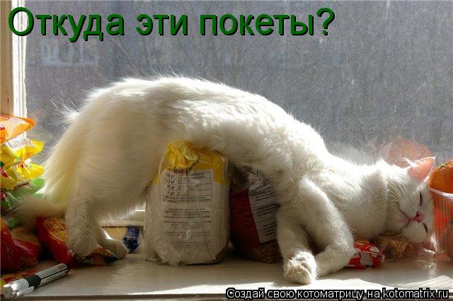 Откуда эти покеты?... Котоматрица: Откуда эти покеты?