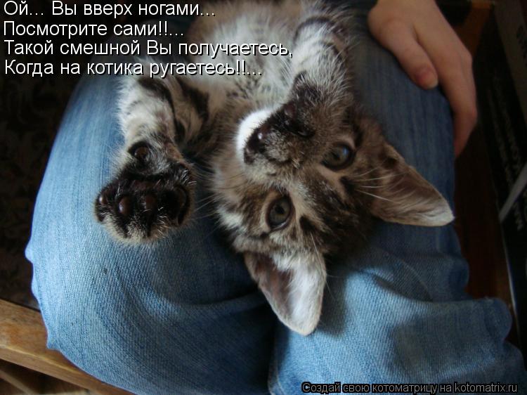 Ой... Вы вверх ногами... Посмотрите сами!!... Такой смешной Вы получаетесь, Когда на котика ругаетесь... Котоматрица: Ой... Вы вверх ногами... Посмотрите сами!!... Такой смешной Вы получаетесь, Когда на котика ругаетесь!!...