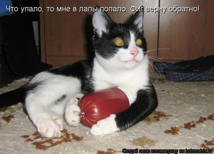 Что упало, то мне в лапы попало. Фиг верну обратно!... Котоматрица: Что упало, то мне в лапы попало. Фиг верну обратно!