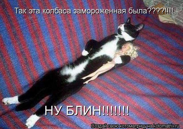 Так эта колбаса замороженная была????!!!! НУ БЛИН!!!!!!!... Котоматрица: Так эта колбаса замороженная была????!!!! НУ БЛИН!!!!!!!