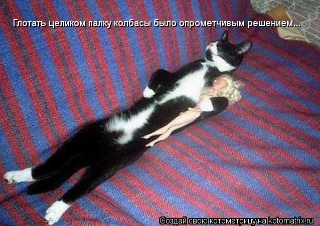 Глотать целиком палку колбасы было опрометчивым решением...... Котоматрица: Глотать целиком палку колбасы было опрометчивым решением...