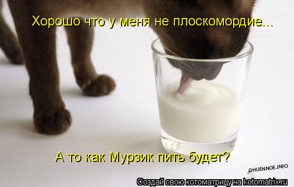 Хорошо что у меня не плоскомордие... А то как Мурзик пить будет?... Котоматрица: Хорошо что у меня не плоскомордие... А то как Мурзик пить будет?