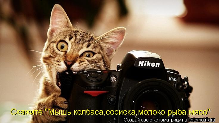 Скажите "Мышь,колбаса,сосиска,молоко,рыба,мясо"... Котоматрица: Скажите "Мышь,колбаса,сосиска,молоко,рыба,мясо"