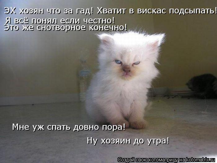 ЭХ хозян что за гад! Хватит в вискас подсыпать! Я всё понял если честно! Это же снотворное конечно! М... Котоматрица: ЭХ хозян что за гад! Хватит в вискас подсыпать! Я всё понял если честно! Это же снотворное конечно! Мне уж спать довно пора! Ну хозяин до утра!