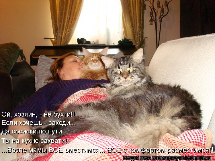 Эй, хозяин, - не бухти!! Если хочешь - заходи... Да сосиски по пути Ты на кухне захвати!! ...Возле ма... Котоматрица: Эй, хозяин, - не бухти!! Если хочешь - заходи... Да сосиски по пути Ты на кухне захвати!! ...Возле мамы ВСЕ вместимся... ВСЕ с комфортом разместимся