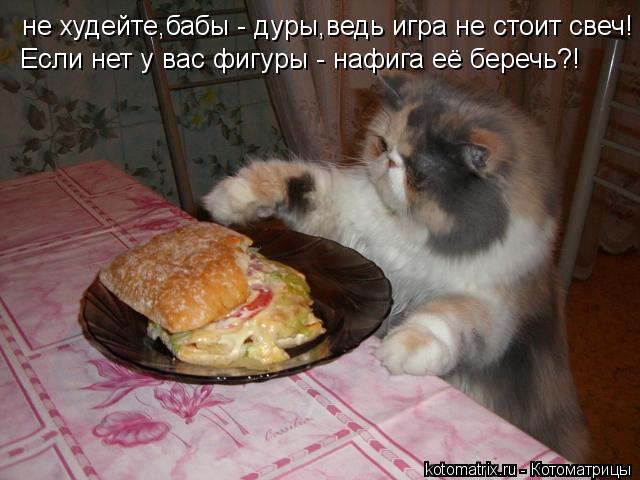 не худейте,бабы - дуры,ведь игра не стоит свеч! Если нет у вас фигуры - нафига её беречь?!... Котоматрица: не худейте,бабы - дуры,ведь игра не стоит свеч! Если нет у вас фигуры - нафига её беречь?!