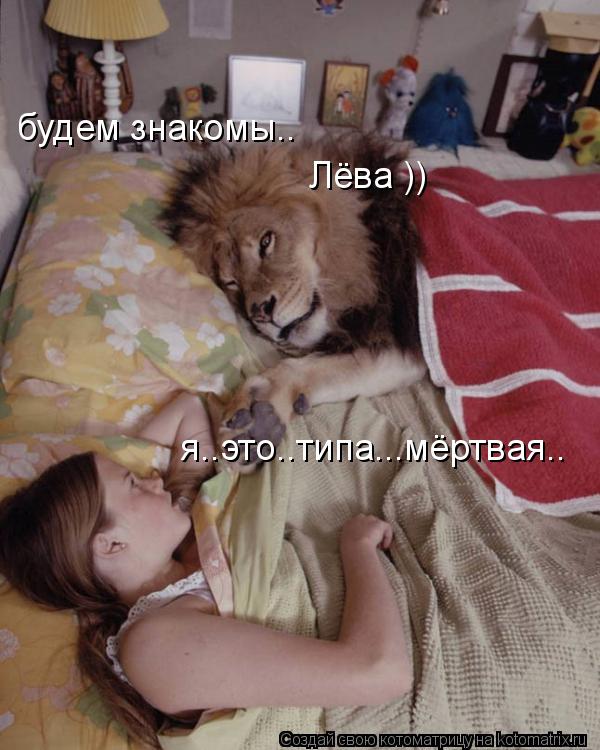 будем знакомы.. Лёва )) я..это..типа...мёртвая..... Котоматрица: будем знакомы.. Лёва )) я..это..типа...мёртвая..