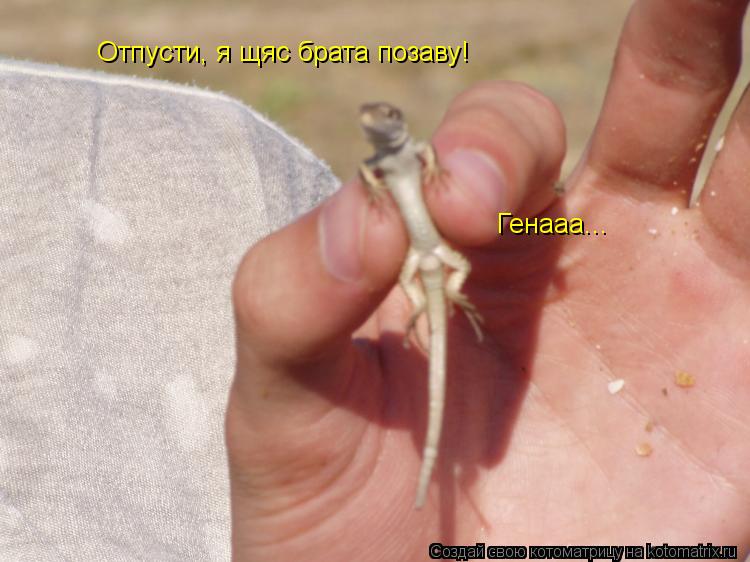 Отпусти, я щяс брата позаву! Генааа...... Котоматрица: Отпусти, я щяс брата позаву! Генааа...