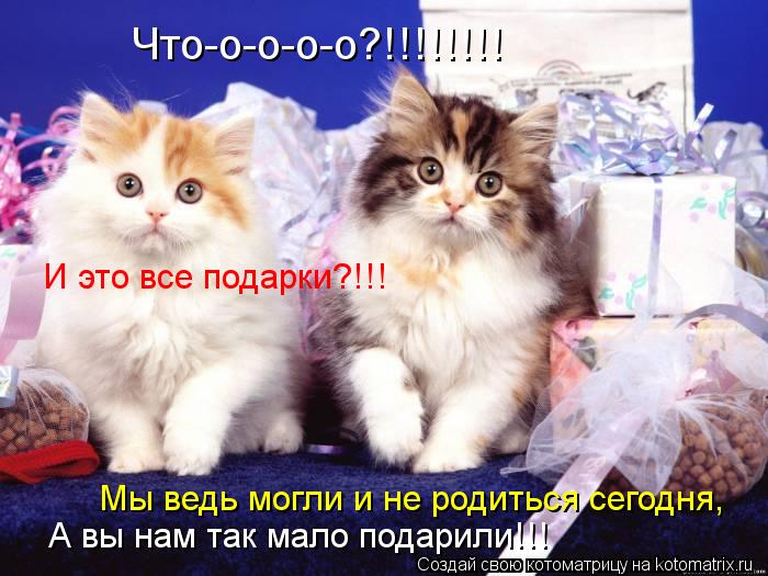 Что-о-о-о-о?!!!!!!!! И это все подарки?!!! Мы ведь могли и не родиться сегодня, А вы нам так мало по... Котоматрица: Что-о-о-о-о?!!!!!!!! И это все подарки?!!! Мы ведь могли и не родиться сегодня, А вы нам так мало подарили!!!