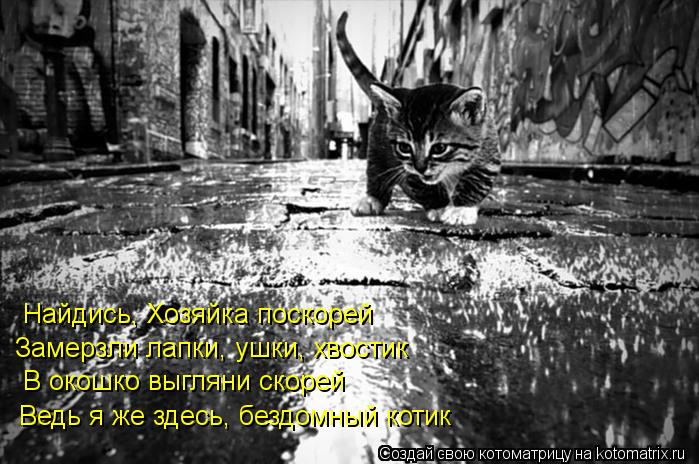 В окошко выгляни скорей Замерзли лапки, ушки, хвостик Найдись, Хозяйка поскорей Ведь я же здесь, безд... Котоматрица: В окошко выгляни скорей Замерзли лапки, ушки, хвостик Найдись, Хозяйка поскорей Ведь я же здесь, бездомный котик