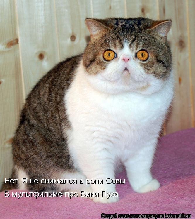 Нет. Я не снимался в роли Совы В мультфильме про Вини Пуха... Котоматрица: Нет. Я не снимался в роли Совы В мультфильме про Вини Пуха