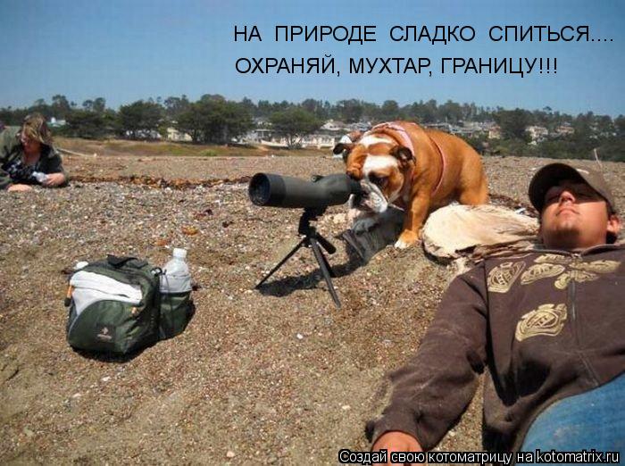 НА ПРИРОДЕ СЛАДКО СПИТЬСЯ.... ОХРАНЯЙ, МУХТАР, ГРАНИЦУ!!!... Котоматрица: НА ПРИРОДЕ СЛАДКО СПИТЬСЯ.... ОХРАНЯЙ, МУХТАР, ГРАНИЦУ!!!