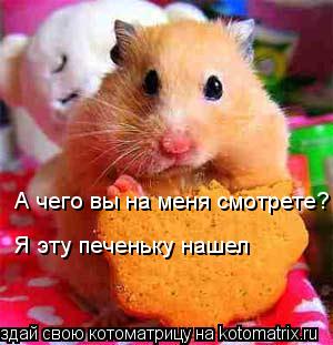 А чего вы на меня смотрете? А чего вы на меня смотрете? Я эту печеньку нашел Я эту печеньку нашел... Котоматрица: А чего вы на меня смотрете? А чего вы на меня смотрете? Я эту печеньку нашел Я эту печеньку нашел