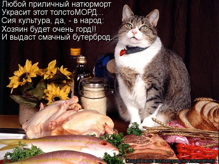Любой приличный натюрморт Украсит этот толстоМОРД... Сия культура, да, - в народ: Хозяин будет очень... Котоматрица: Любой приличный натюрморт Украсит этот толстоМОРД... Сия культура, да, - в народ: Хозяин будет очень горд!! И выдаст смачный бутерброд...