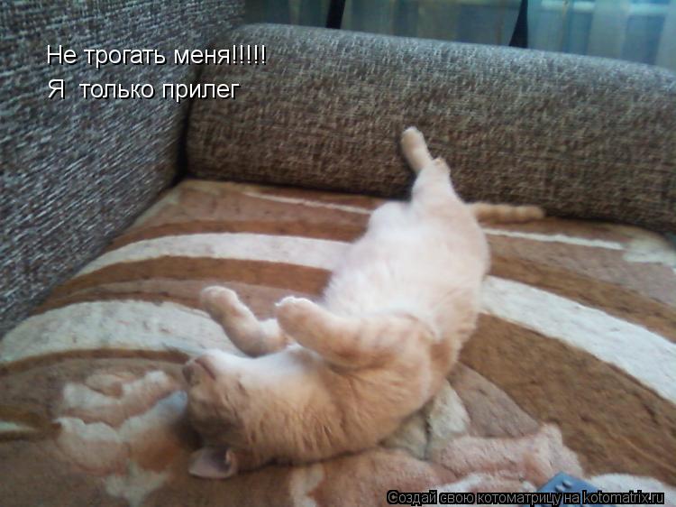 Не трогать меня!!!!! Я только прилег... Котоматрица: Не трогать меня!!!!! Я только прилег