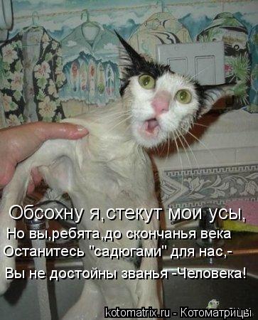 Обсохну я,стекут мои усы, Но вы,ребята,до скончанья века Останитесь "садюгами" для нас,- Вы не достой... Котоматрица: Обсохну я,стекут мои усы, Но вы,ребята,до скончанья века Останитесь "садюгами" для нас,- Вы не достойны званья -Человека!