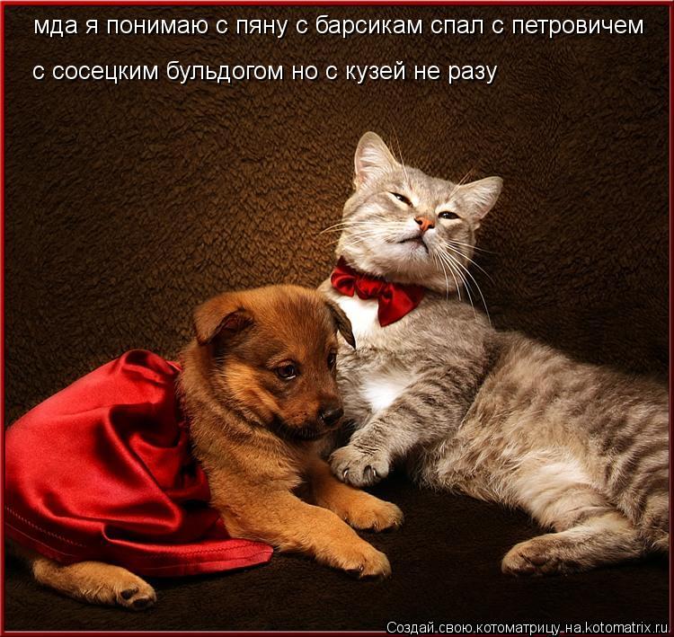 мда я понимаю с пяну с барсикам спал с петровичем с сосецким бульдогом но с кузей не разу... Котоматрица: мда я понимаю с пяну с барсикам спал с петровичем с сосецким бульдогом но с кузей не разу