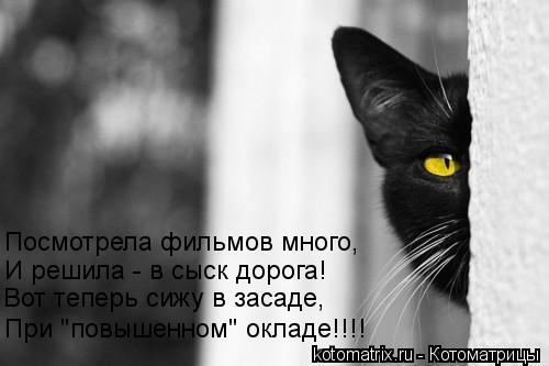Посмотрела фильмов много, И решила - в сыск дорога! Вот теперь сижу в засаде, При "повышенном" окладе... Котоматрица: Посмотрела фильмов много, И решила - в сыск дорога! Вот теперь сижу в засаде, При "повышенном" окладе!!!!
