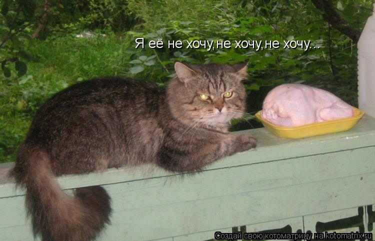 Я её не хочу,не хочу,не хочу...... Котоматрица: Я её не хочу,не хочу,не хочу...