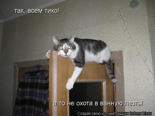 Котоматрица: так, всем тихо! а то не охота в ванную лезть!