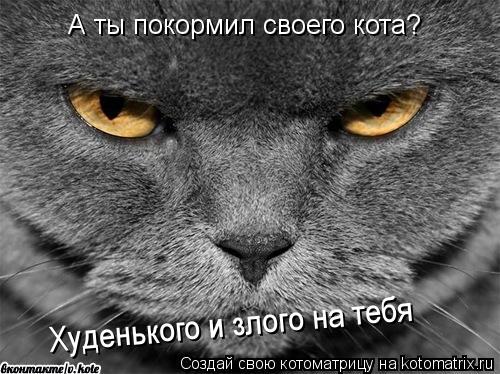 А ты покормил своего кота? Худенького и злого на тебя... Котоматрица: А ты покормил своего кота? Худенького и злого на тебя