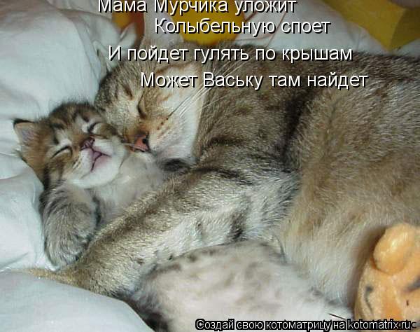 Котоматрица: Мама Мурчика уложит  Колыбельную споет И пойдет гулять по крышам Может Ваську там найдет