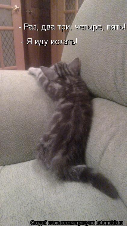 Котоматрица: - Раз, два три, четыре, пять!  - Я иду искать!
