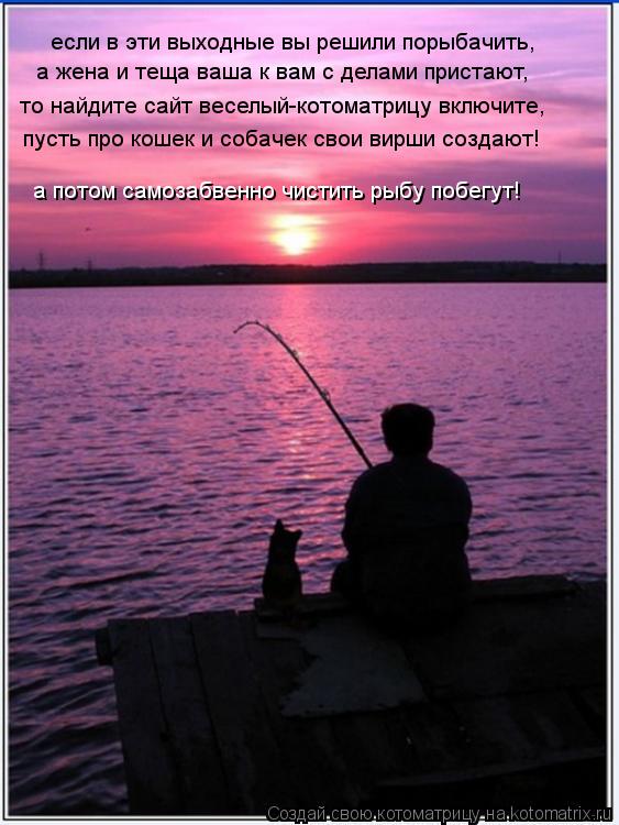 Котоматрица: если в эти выходные вы решили порыбачить, а жена и теща ваша к вам с делами пристают, то найдите сайт веселый-котоматрицу включите, пусть про