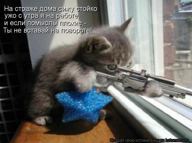 Котоматрица: На страже дома сижу стойко ужо с утра я на работе, и если помыслы плохие,- Ты не вставай на повороте!