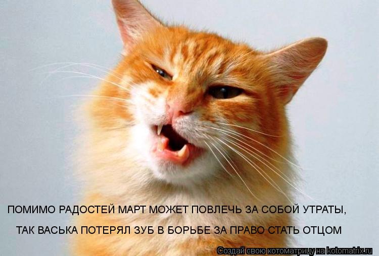 ТАК ВАСЬКА ПОТЕРЯЛ ЗУБ В БОРЬБЕ ЗА ПРАВО СТАТЬ ОТЦОМ ПОМИМО РАДОСТЕЙ МАРТ МОЖЕТ ПОВЛЕЧЬ ЗА СОБОЙ УТРА... Котоматрица: ТАК ВАСЬКА ПОТЕРЯЛ ЗУБ В БОРЬБЕ ЗА ПРАВО СТАТЬ ОТЦОМ ПОМИМО РАДОСТЕЙ МАРТ МОЖЕТ ПОВЛЕЧЬ ЗА СОБОЙ УТРАТЫ,