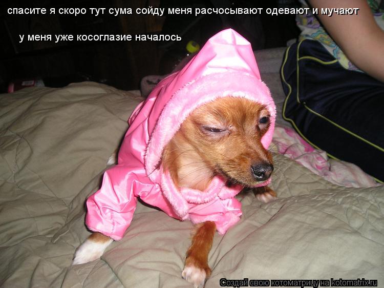 спасите я скоро тут сума сойду меня расчосывают одевают и мучают спасите я скоро тут сума сойду меня ... Котоматрица: спасите я скоро тут сума сойду меня расчосывают одевают и мучают спасите я скоро тут сума сойду меня расчосывают одевают и мучают у меня уж