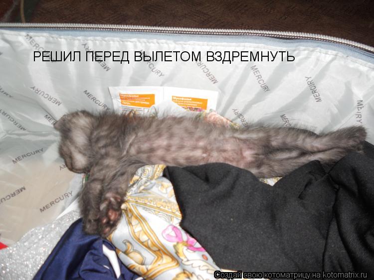 РЕШИЛ ПЕРЕД ВЫЛЕТОМ ВЗДРЕМНУТЬ... Котоматрица: РЕШИЛ ПЕРЕД ВЫЛЕТОМ ВЗДРЕМНУТЬ